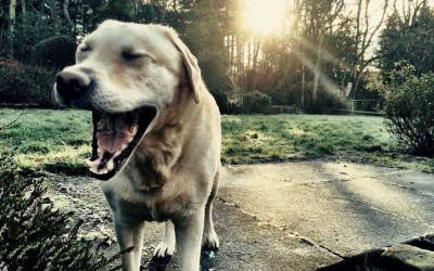 The French Mortgage System Has Made Us Change Our Route