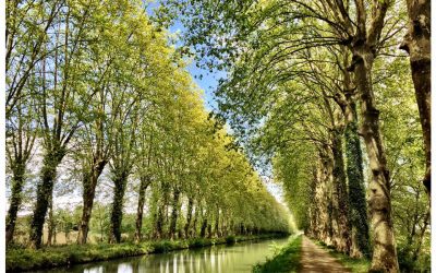 Settling in & setting up nicely