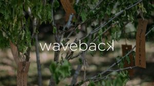 Waveback